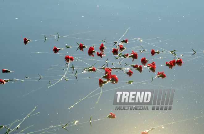 Baku residents bringing flowers to Seaside Boulevard to honor missing oil workers.  Azerbaijan, Dec.07, 2015